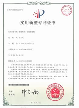 中國專利