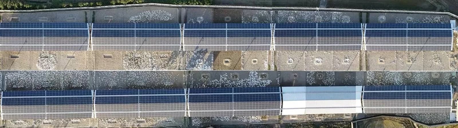 畜牧場 — 農電共生 — 屋頂平舖型